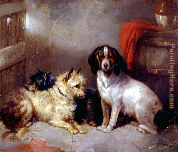 George Armfield Terriers and Hound